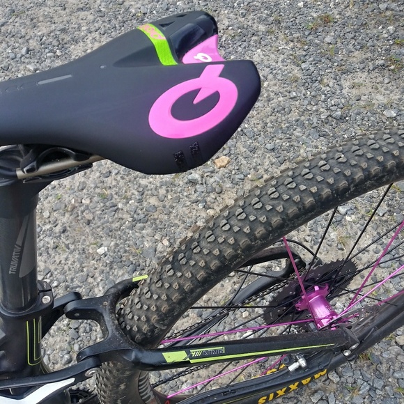 Meet your Posher, Rebecca and Angel the 🐱 kitty - Picture 7 of 8